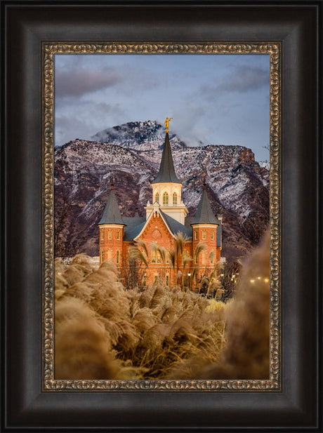 Provo City Center Temple - Fall Reeds