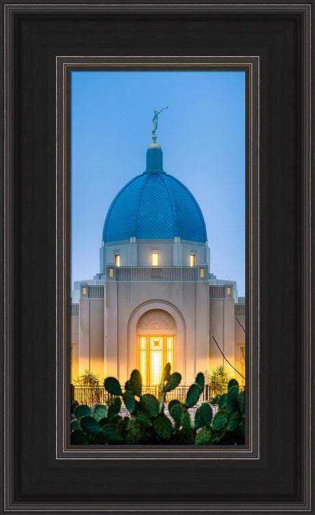 Tucson Temple - Cactus Twilight