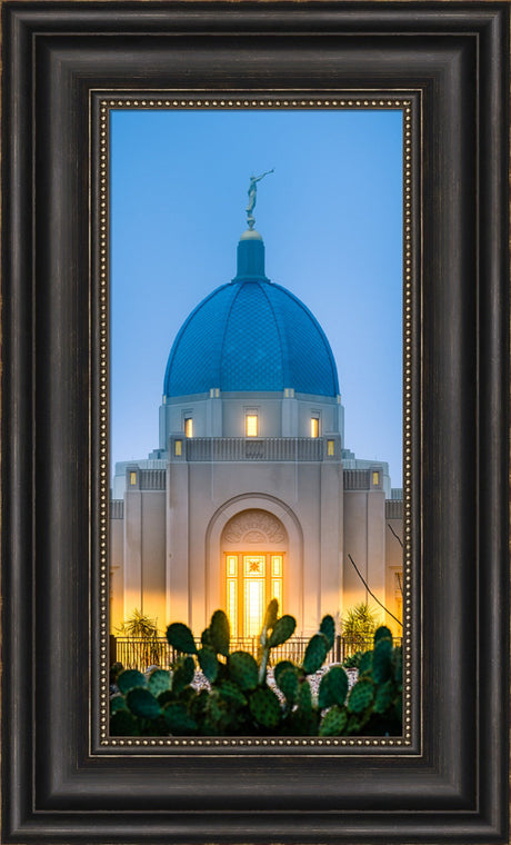 Tucson Temple - Cactus Twilight