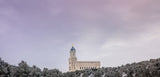 Cedar City Temple - Above the Trees Panorama